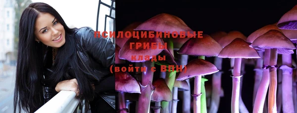 дмт Алексеевка