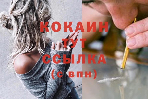 дмт Алексеевка