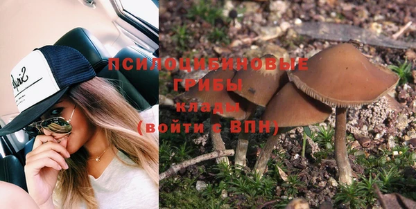 дмт Алексеевка
