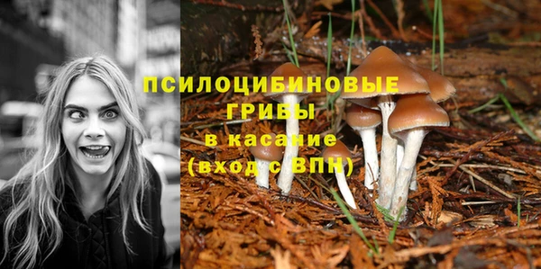 дмт Алексеевка