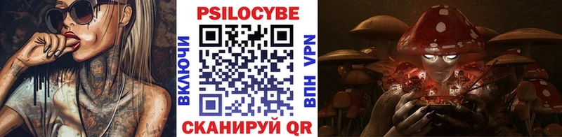 Псилоцибиновые грибы мухоморы  darknet Telegram  Белореченск  купить закладку  кракен как зайти 